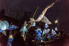 Lanterns in the Valley Parade 2019 118